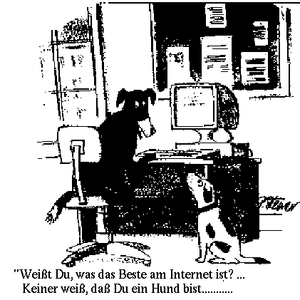 Hunde im Internet