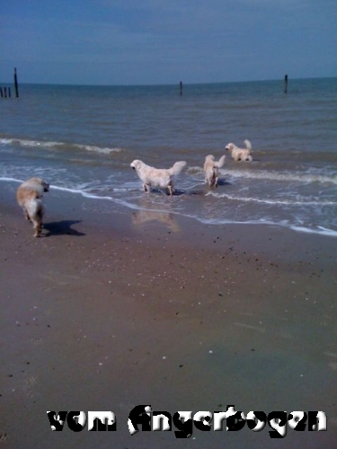 Urlaub Bredene 2012