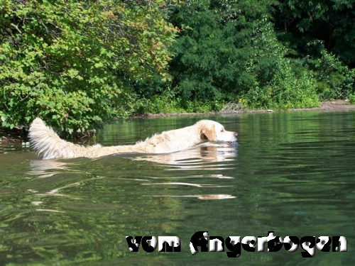 Wasser-Training 14.07.10