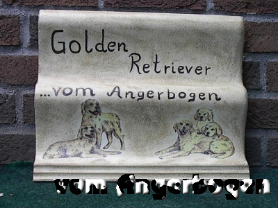 Bilder des E-Wurfs 94