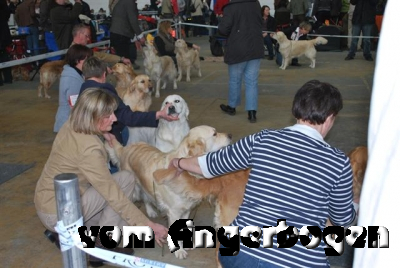 Ausstellung Rheinberg