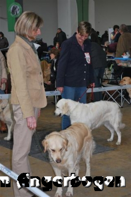 Ausstellung Rheinberg