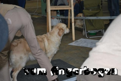 Ausstellung Rheinberg