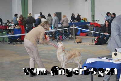 Ausstellung Rheinberg