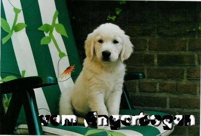 Bilder des D-Wurfs 27