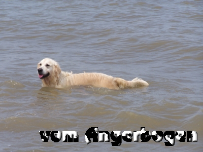 Bredene 19