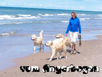 Urlaub in Dänemark