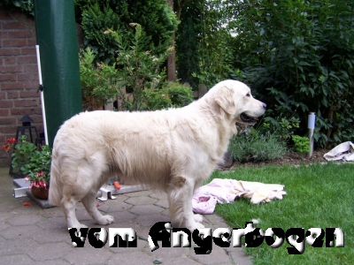 Besucher 14