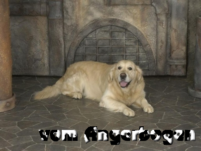 B-Wurf 2
