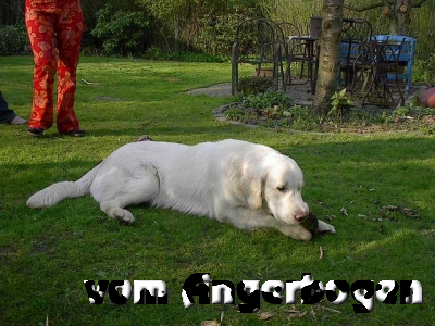 E-Wurf 6