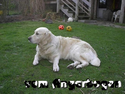 E-Wurf 9