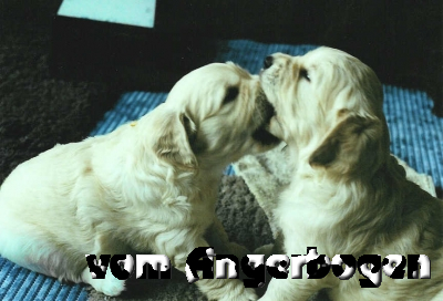 Bilder des C-Wurfs 14