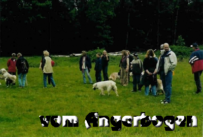 Geburtstag D-Wurf 8