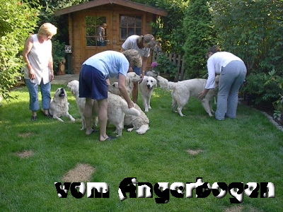 Trimmen 1