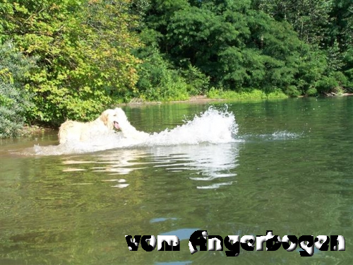 Wasser-Training 14.07.10