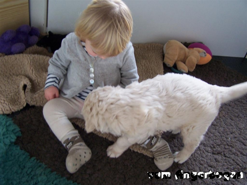 Jule vom Angerbogen_1