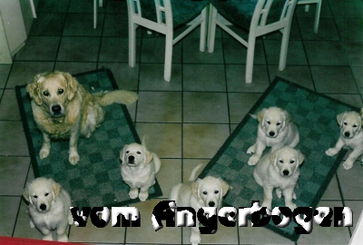 Bilder des D-Wurfs 29